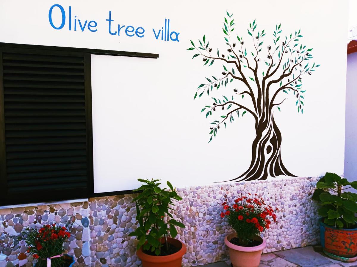 Olive Tree Villa Lygia (Epirus) Exterior foto