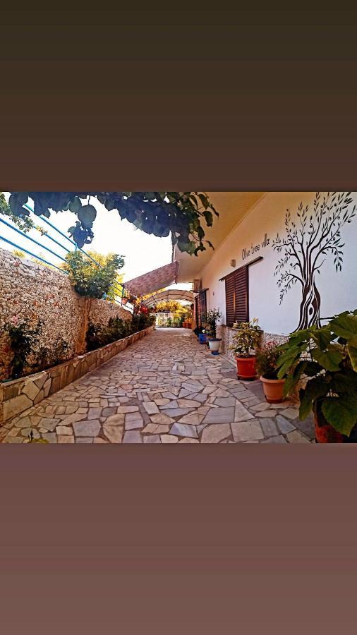 Olive Tree Villa Lygia (Epirus) Exterior foto