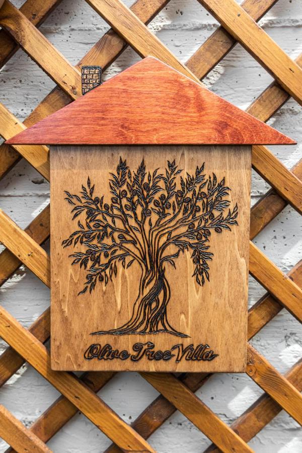 Olive Tree Villa Lygia (Epirus) Exterior foto