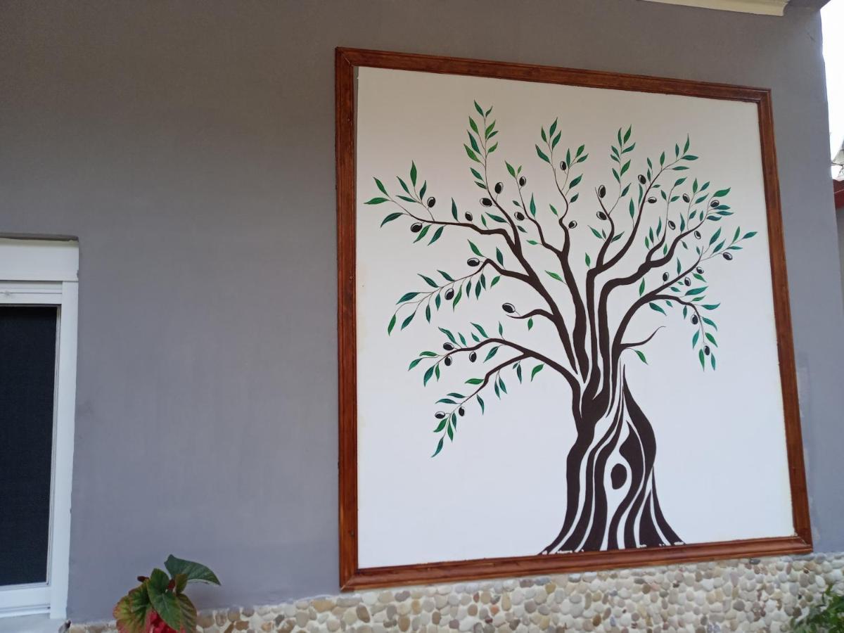 Olive Tree Villa Lygia (Epirus) Exterior foto